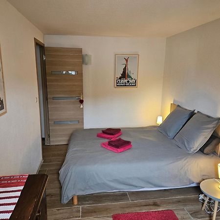 Appartement Hyper Centre 6 Pers. 霞慕尼 外观 照片
